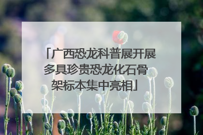 广西恐龙科普展开展 多具珍贵恐龙化石骨架标本集中亮相