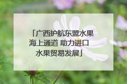 广西护航东盟水果海上通道 助力进口水果贸易发展