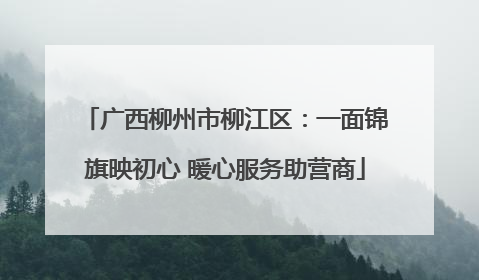 广西柳州市柳江区：一面锦旗映初心 暖心服务助营商