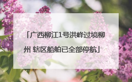 广西柳江1号洪峰过境柳州 辖区船舶已全部停航