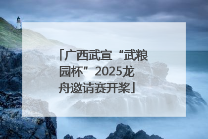 广西武宣“武粮园杯”2025龙舟邀请赛开桨