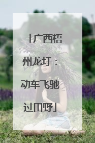 广西梧州龙圩：动车飞驰过田野