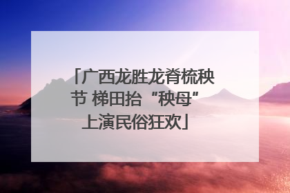 广西龙胜龙脊梳秧节 梯田抬“秧母”上演民俗狂欢