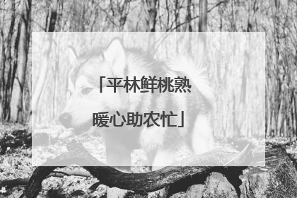平林鲜桃熟 暖心助农忙