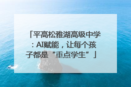 平高松雅湖高级中学：AI赋能，让每个孩子都是“重点学生”