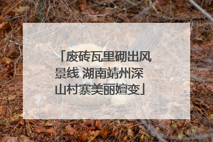 废砖瓦里砌出风景线 湖南靖州深山村寨美丽嬗变