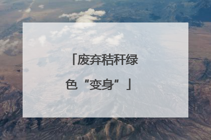废弃秸秆绿色“变身”