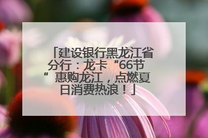 建设银行黑龙江省分行：龙卡“66节”惠购龙江，点燃夏日消费热浪！