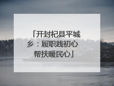 开封杞县平城乡：履职践初心 帮扶暖民心
