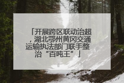 开展跨区联动治超，湖北鄂州黄冈交通运输执法部门联手整治“百吨王”