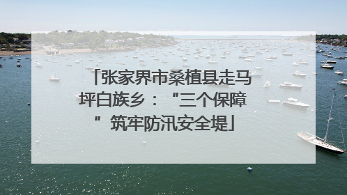 张家界市桑植县走马坪白族乡：“三个保障”筑牢防汛安全堤