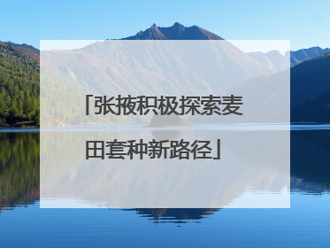张掖积极探索麦田套种新路径