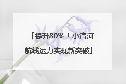 提升80％！小清河航线运力实现新突破