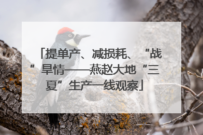 提单产、减损耗、“战”旱情——燕赵大地“三夏”生产一线观察