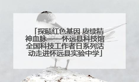 探赜红色基因 赓续精神血脉——怀远县科技馆全国科技工作者日系列活动走进怀远县实验中学