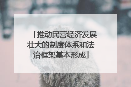 推动民营经济发展壮大的制度体系和法治框架基本形成