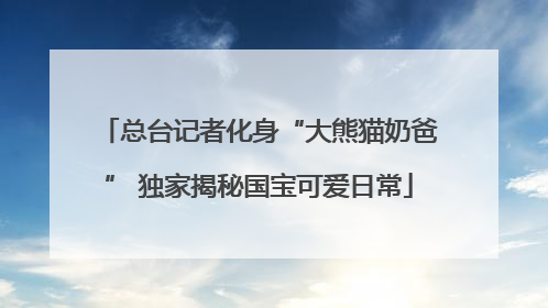 总台记者化身“大熊猫奶爸” 独家揭秘国宝可爱日常