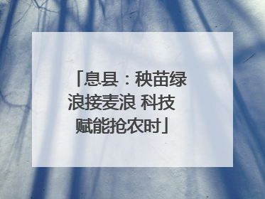 息县：秧苗绿浪接麦浪 科技赋能抢农时