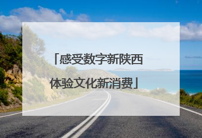 感受数字新陕西 体验文化新消费