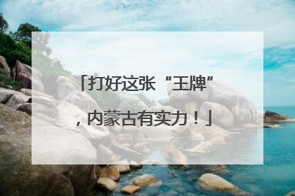 打好这张“王牌”，内蒙古有实力！
