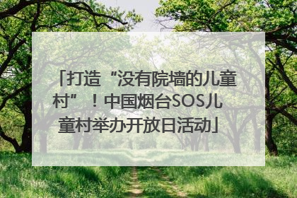 打造“没有院墙的儿童村”！中国烟台SOS儿童村举办开放日活动