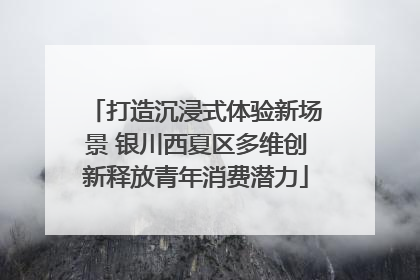打造沉浸式体验新场景 银川西夏区多维创新释放青年消费潜力