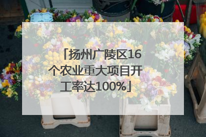 扬州广陵区16个农业重大项目开工率达100%