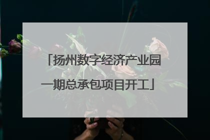 扬州数字经济产业园一期总承包项目开工