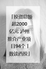 投资总额超2000亿元 泸州推介产业项目94个丨数读西投