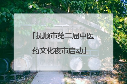 抚顺市第二届中医药文化夜市启动
