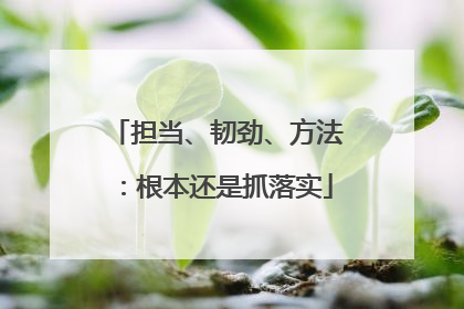 担当、韧劲、方法：根本还是抓落实