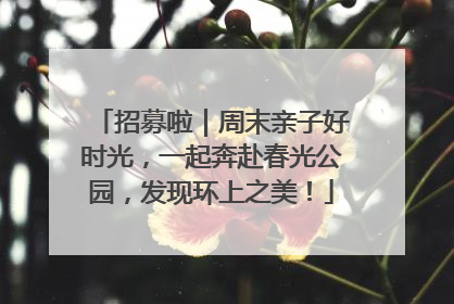 招募啦｜周末亲子好时光，一起奔赴春光公园，发现环上之美！