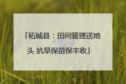 柘城县：田间管理送地头 抗旱保苗保丰收