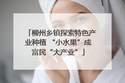 柳州乡镇探索特色产业种植 “小水果”成富民“大产业”