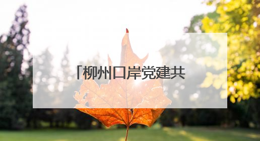 柳州口岸党建共同体“党建大讲堂”活动举行