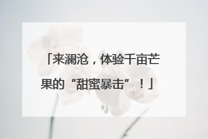 来澜沧，体验千亩芒果的“甜蜜暴击”！