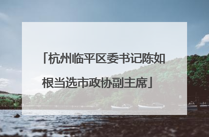 杭州临平区委书记陈如根当选市政协副主席