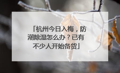 杭州今日入梅，防潮除湿怎么办？已有不少人开始备货