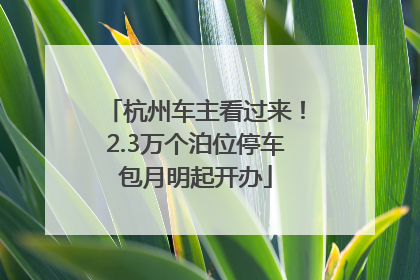 杭州车主看过来！2.3万个泊位停车包月明起开办