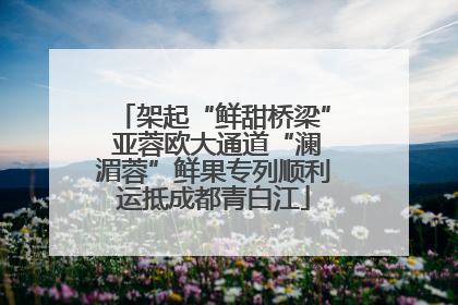 架起“鲜甜桥梁” 亚蓉欧大通道“澜湄蓉”鲜果专列顺利运抵成都青白江