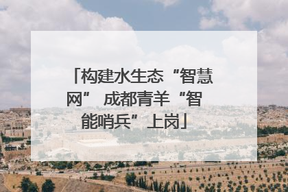 构建水生态“智慧网” 成都青羊“智能哨兵”上岗