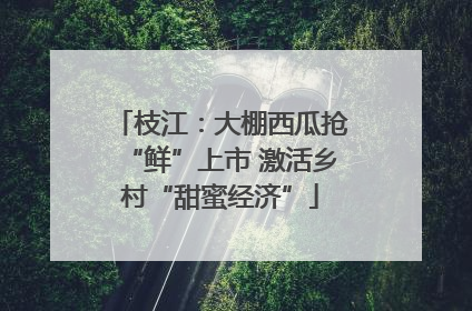 枝江：大棚西瓜抢“鲜”上市 激活乡村“甜蜜经济”