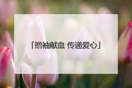 撸袖献血 传递爱心