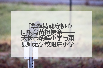 擎旗铸魂守初心 固根育苗担使命——天长市炳辉小学与萧县师范学校附属小学结对共建活动纪实
