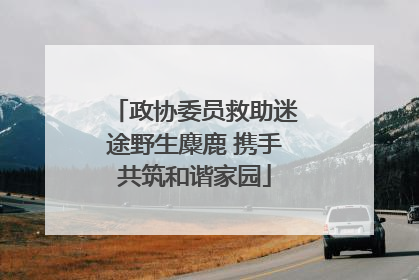 政协委员救助迷途野生麋鹿 携手共筑和谐家园