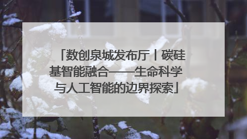 数创泉城发布厅丨碳硅基智能融合——生命科学与人工智能的边界探索