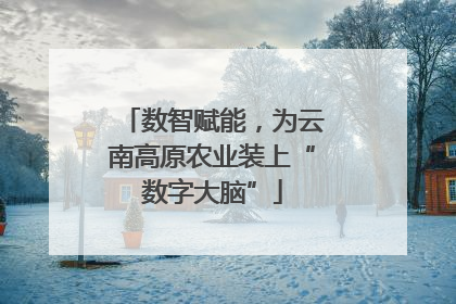 数智赋能，为云南高原农业装上“数字大脑”