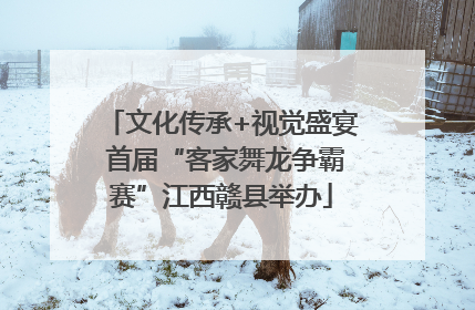 文化传承+视觉盛宴 首届“客家舞龙争霸赛”江西赣县举办