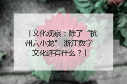 文化观察：除了“杭州六小龙” 浙江数字文化还有什么？