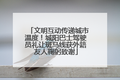文明互动传递城市温度！城阳巴士驾驶员礼让斑马线获外籍友人鞠躬致谢
